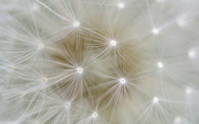 Une conversation peut-elle changer notre regard sur un métier ?